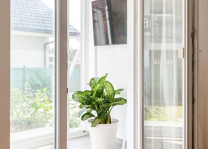 Hay アパート ブレッド